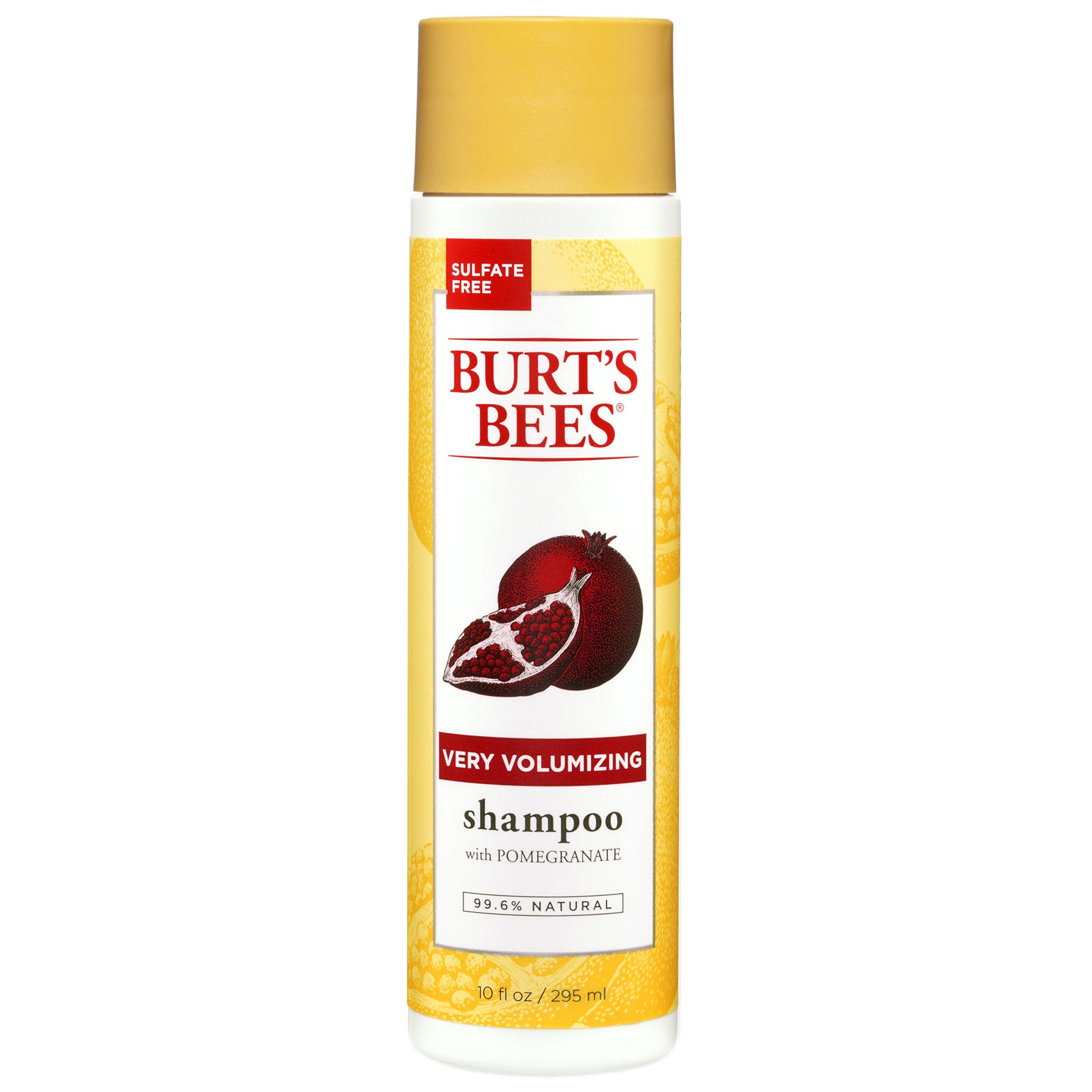 Burt's bees shampoo 2025